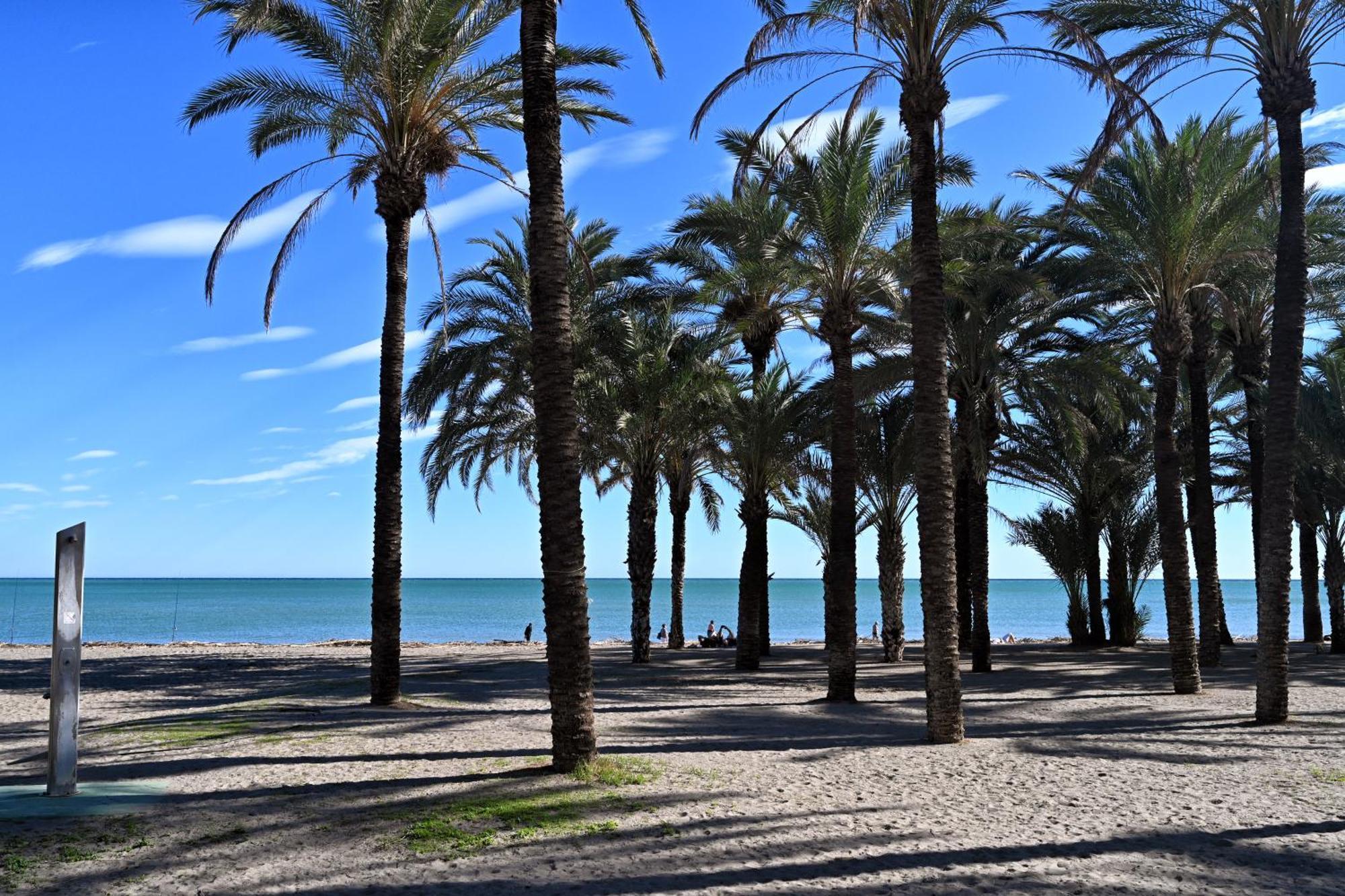 Golddem Alamar Torremolinos Dış mekan fotoğraf